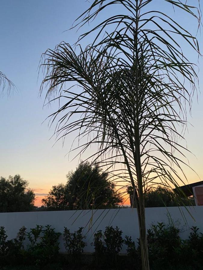 Villa Per Vacanze Isola Fanusa Exteriör bild